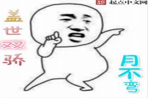 ˫