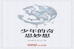 ˼