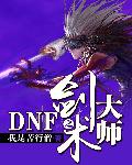 DNF֮ʦ