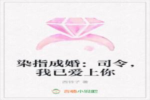 Ⱦָɻ飺˾Ѱ