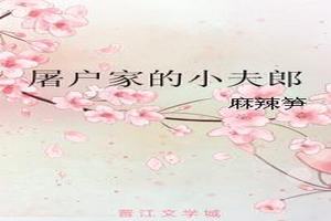 ҵС