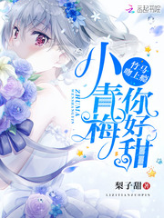 񫣺С÷