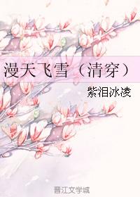 ѩ崩
