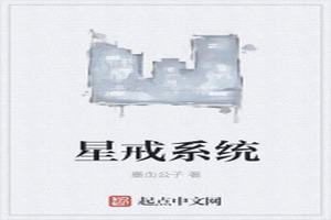 ǽϵͳ