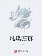 豹