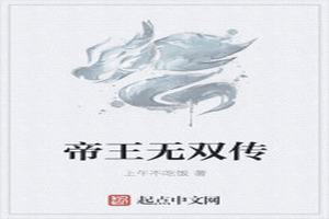 ˫