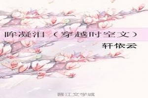 ᣨԽʱģ