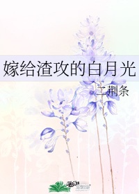 月老也磕CP