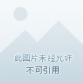玄幻：叫你去送死，没让你无敌