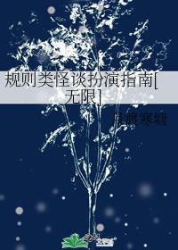 规则的游戏封面