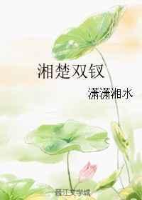 湘楚双钗封面
